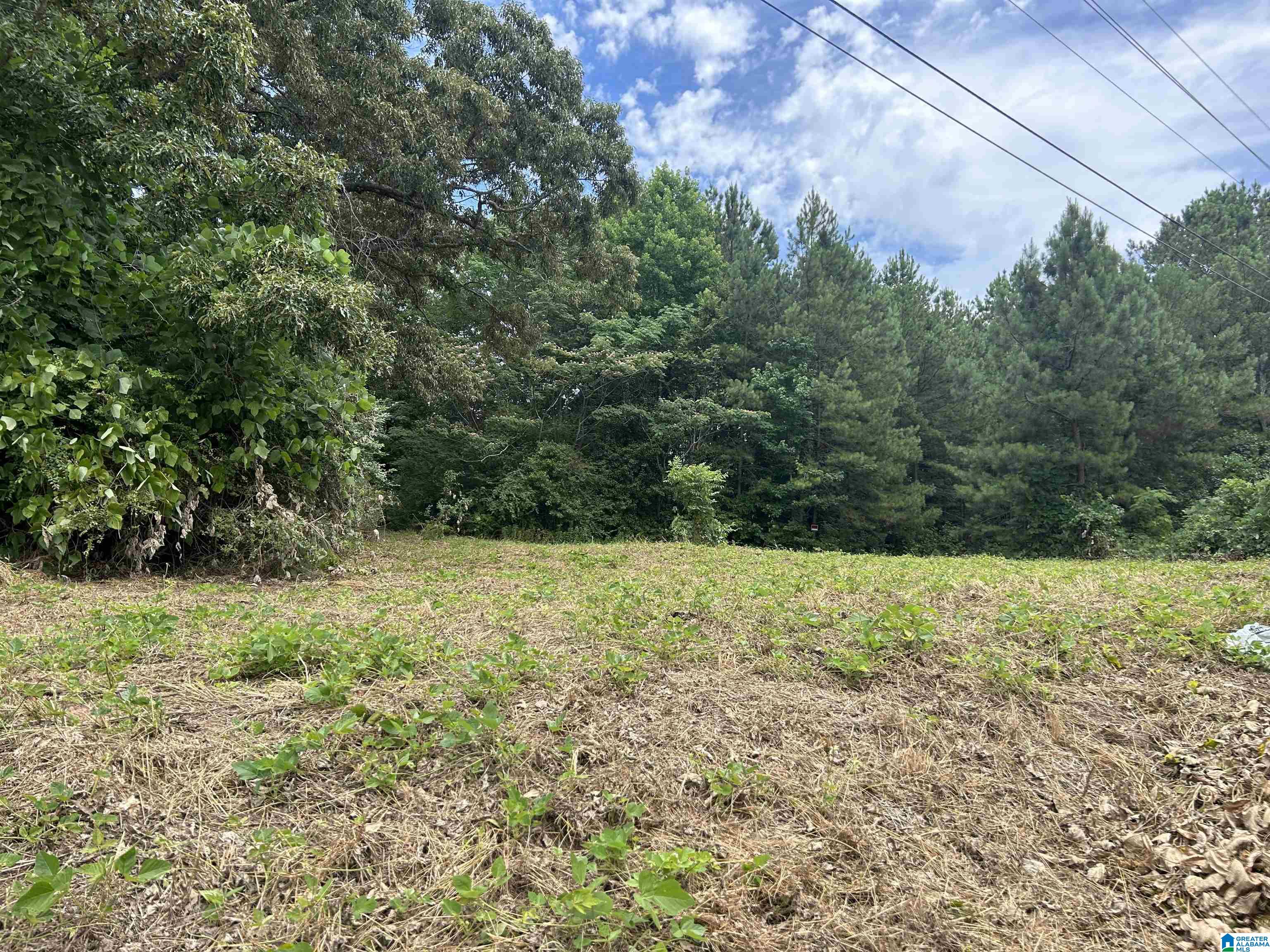 0 Highway 431, Unit 1 Roanoke, AL 36274 - Photo 4 of 5