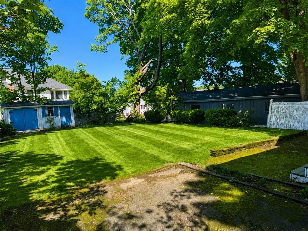36 Plummer Avenue Lowell, MA 01852 - Photo 4 of 23 a view of a backyard with a small cabin