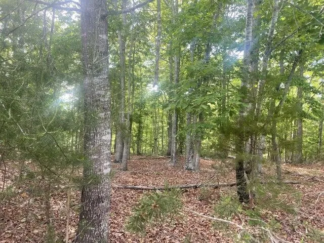 $15,000 | Lot 19 Robin Ridge Court, Pittsville, VA 24139