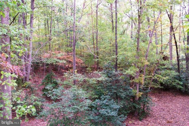 44224 Richey Road Leonardtown, MD 20650 - Photo 25 of 28 Woods