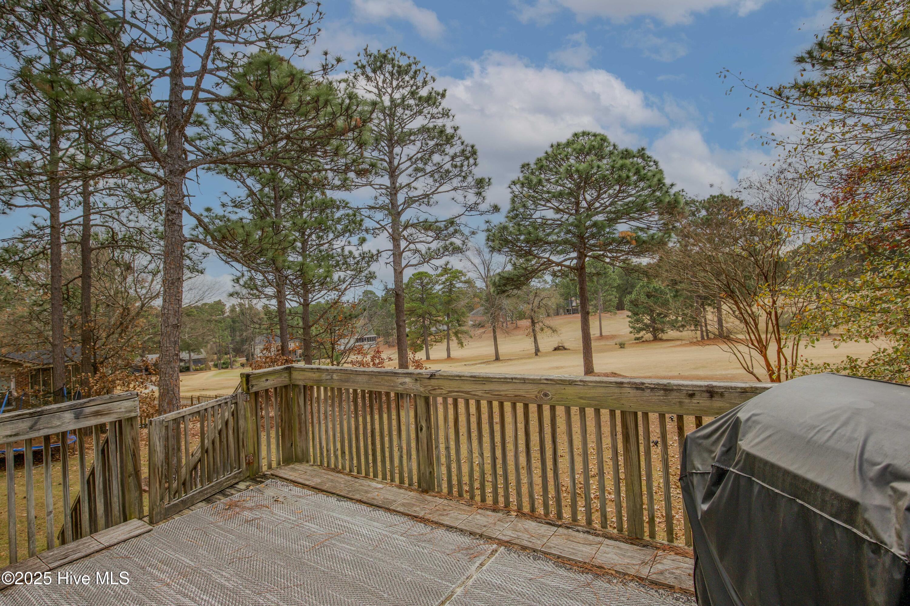 46 Putters Path Sanford, NC 27332 - Photo 54 of 86 46 Putters Path-60