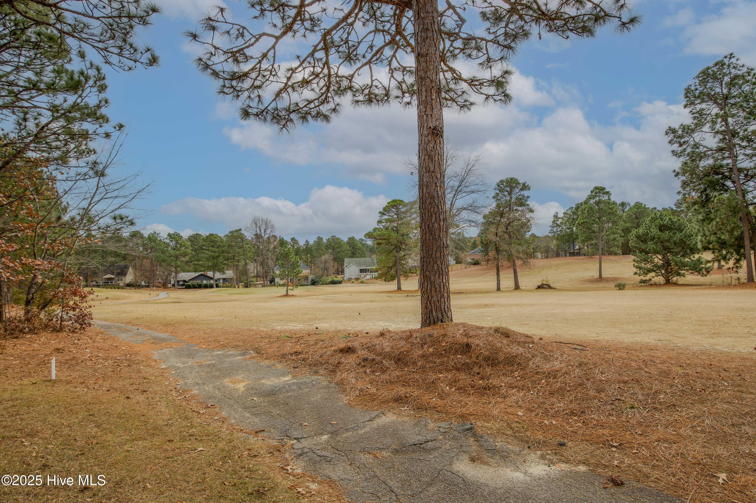 46 Putters Path Sanford, NC 27332 - Photo 55 of 86 46 Putters Path-64