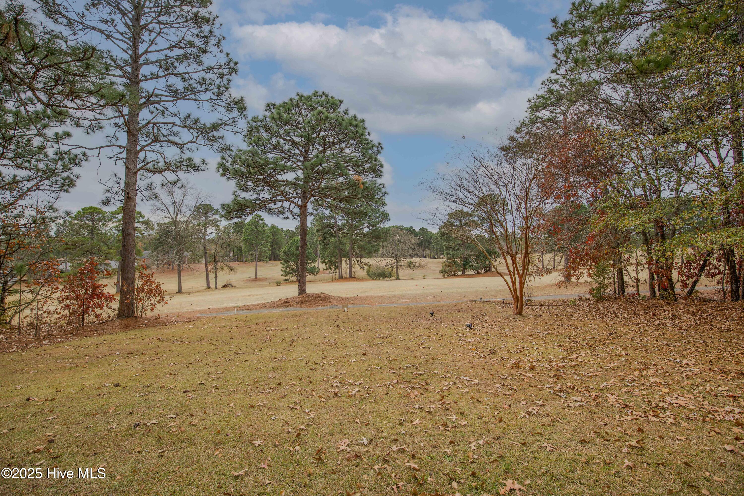 46 Putters Path Sanford, NC 27332 - Photo 64 of 86 46 Putters Path-61