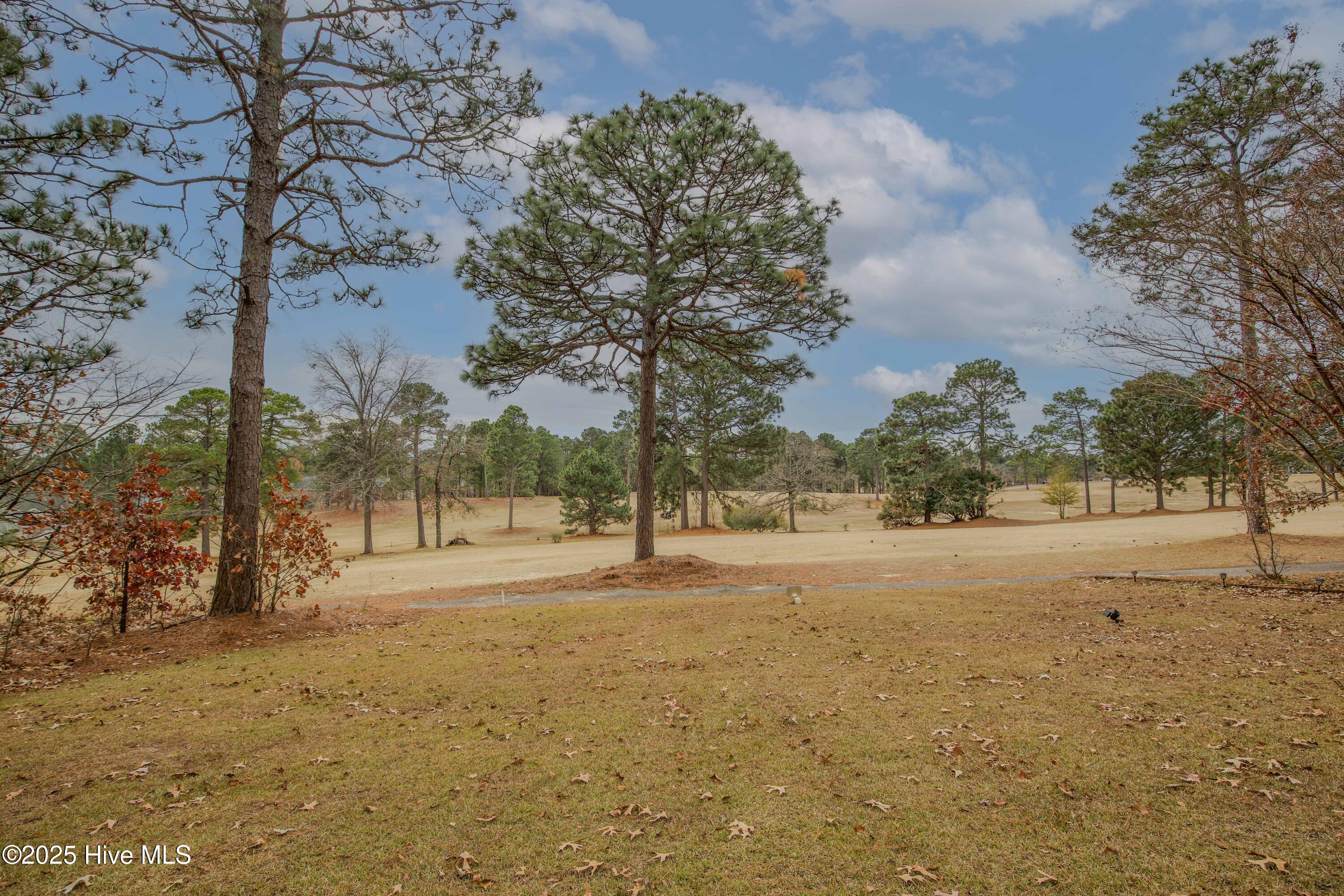 46 Putters Path Sanford, NC 27332 - Photo 65 of 86 46 Putters Path-62