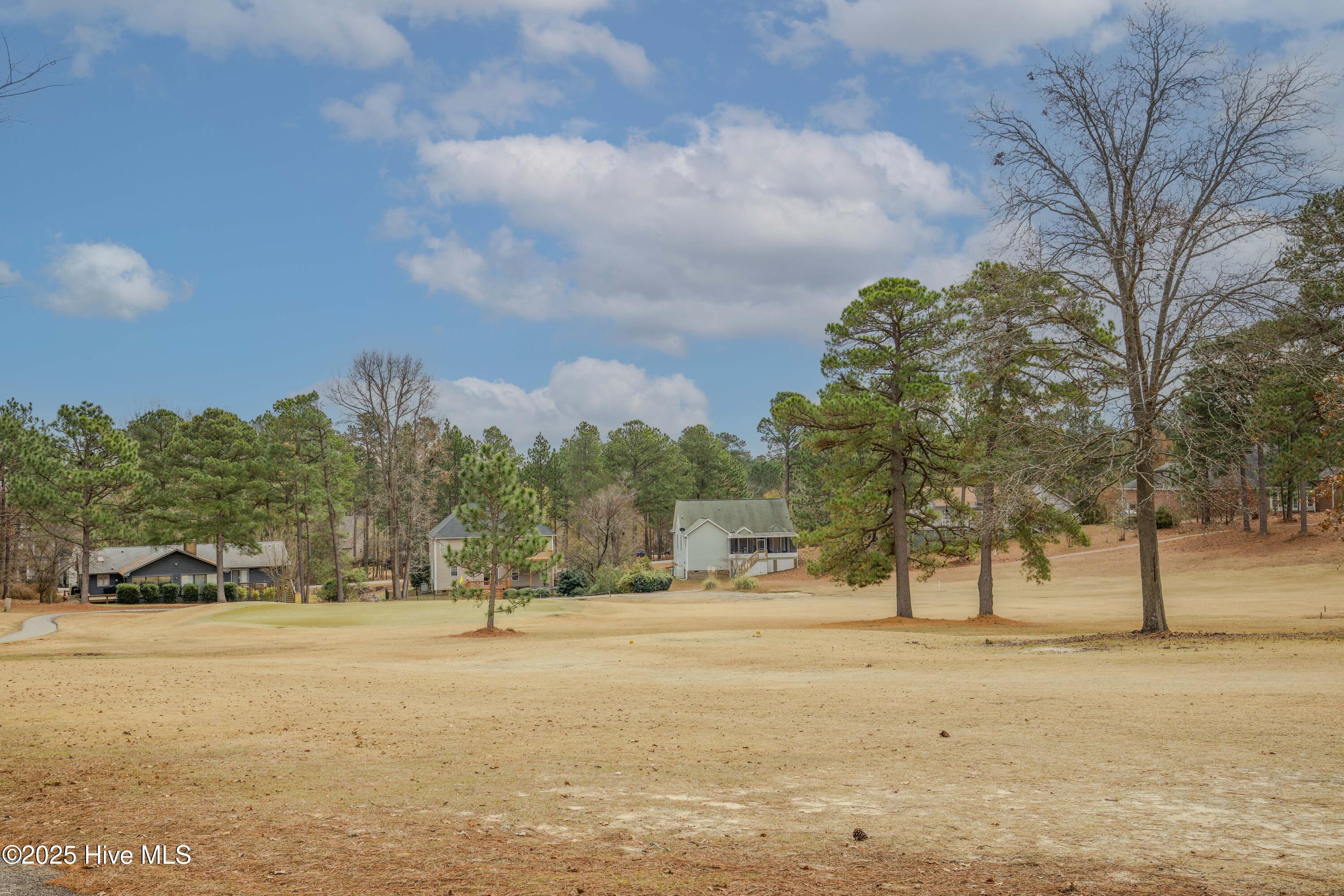46 Putters Path Sanford, NC 27332 - Photo 67 of 86 46 Putters Path-65