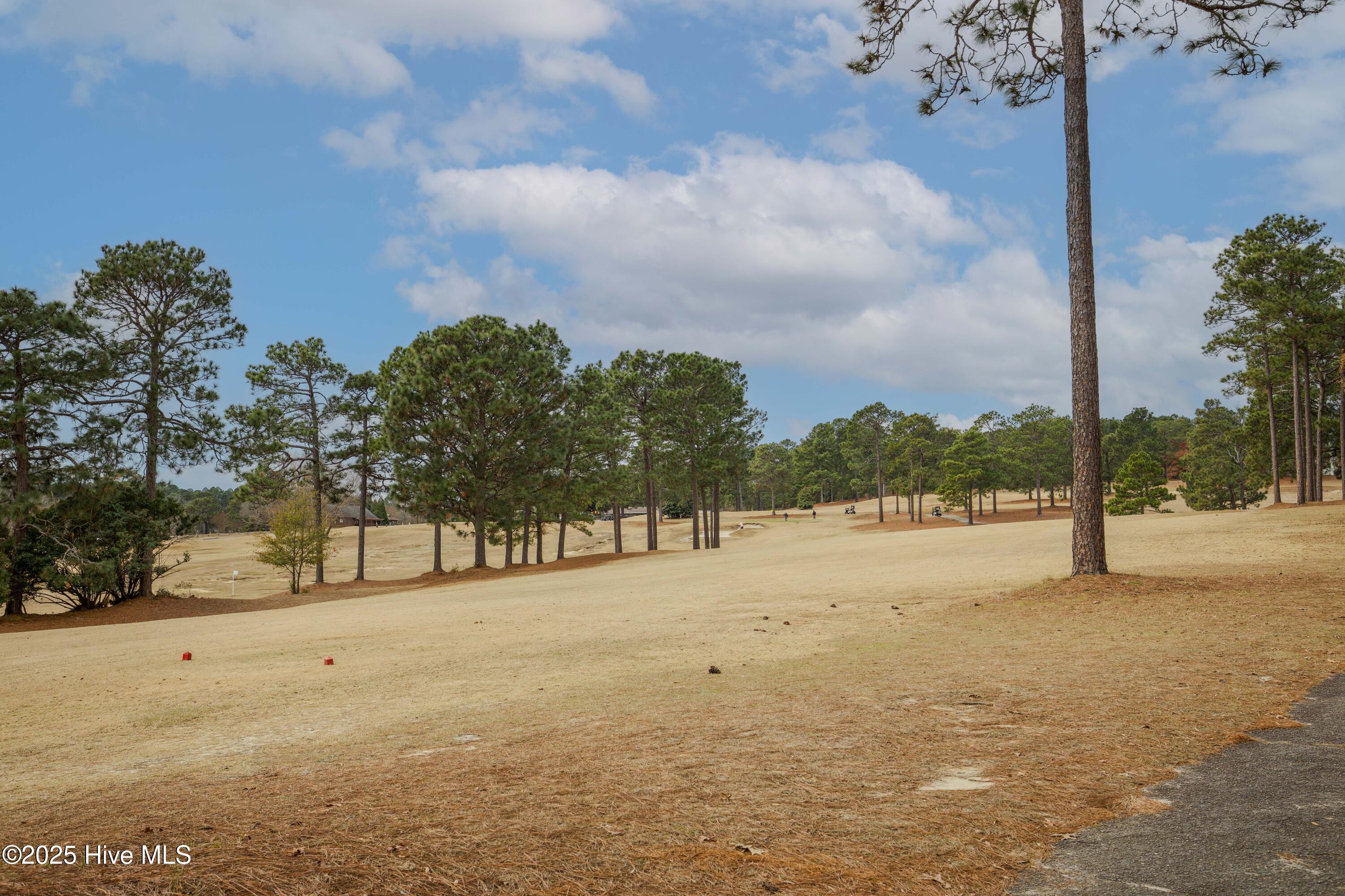 46 Putters Path Sanford, NC 27332 - Photo 68 of 86 46 Putters Path-66