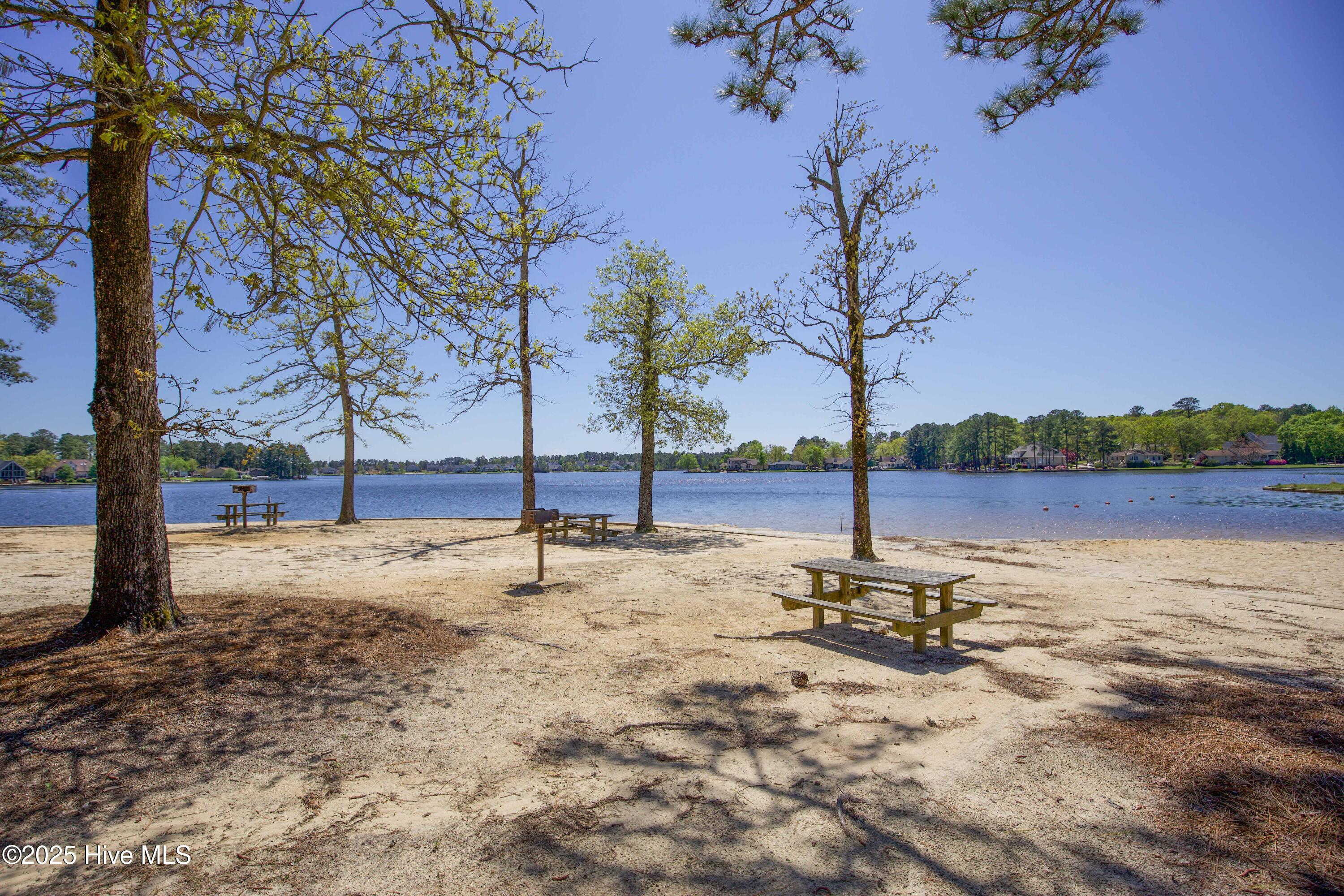 46 Putters Path Sanford, NC 27332 - Photo 84 of 86 Carolina Lakes-13