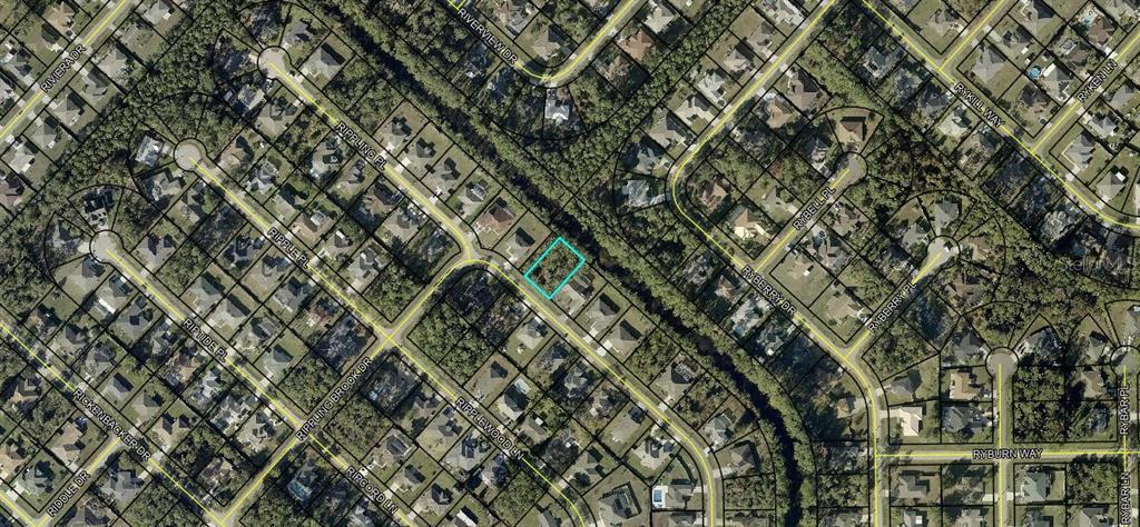 15 Rippling Brook Drive Palm Coast, FL 32164 - Photo 2 of 3 a view of a yard