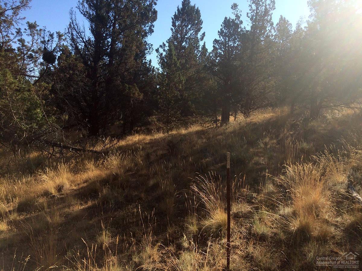 65541 Tweed Road Bend, OR 97703 - Photo 5 of 8