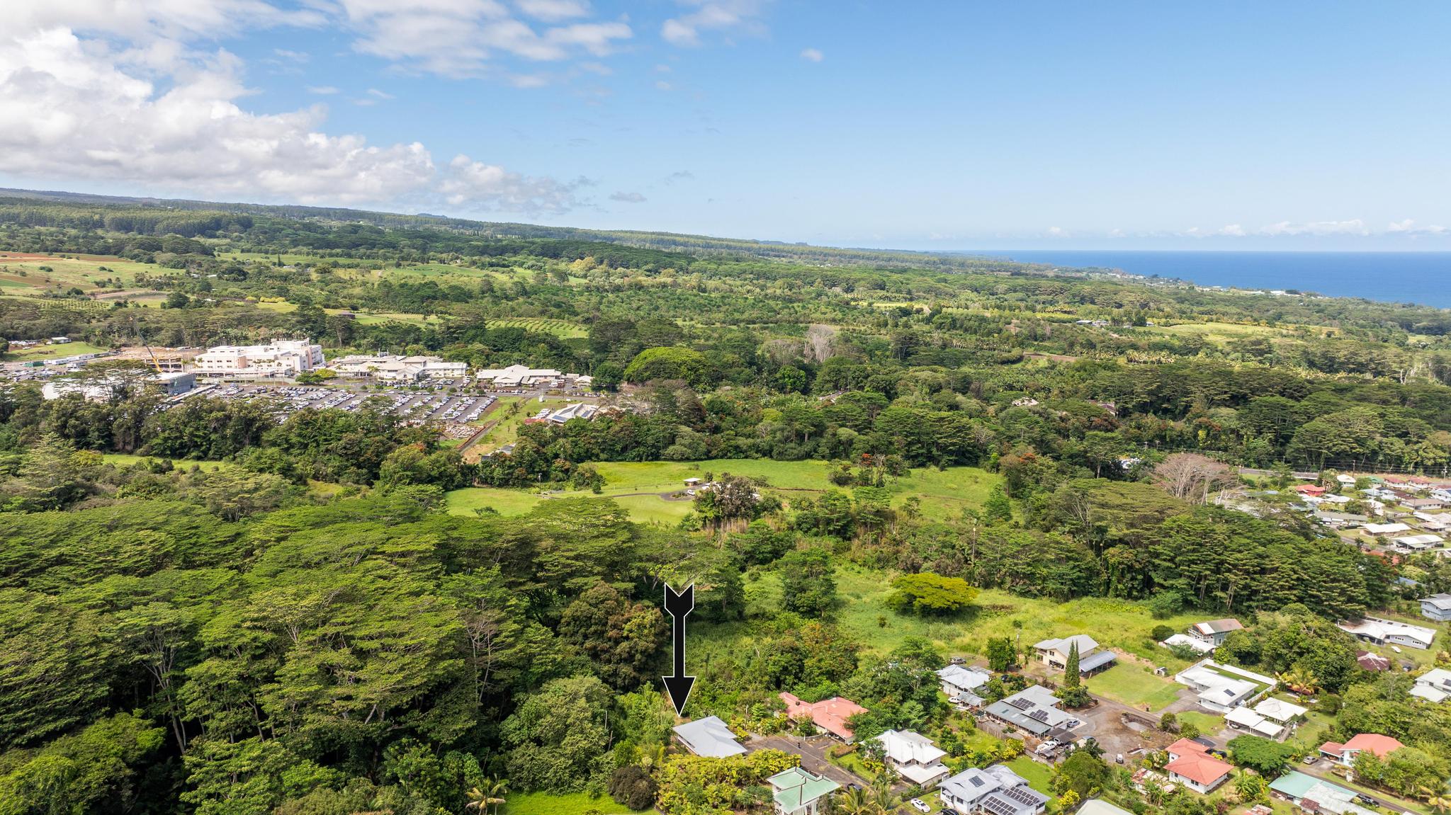 53 Ekaha Street Hilo, HI 96720 - Photo 29 of 29 a view of a city with lush green forest