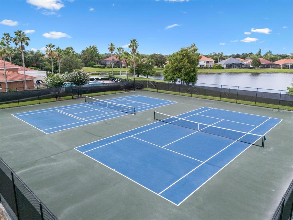 11520 Via Lucerna Circle Windermere, FL 34786 - Photo 59 of 86