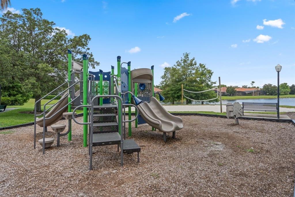 11520 Via Lucerna Circle Windermere, FL 34786 - Photo 80 of 86