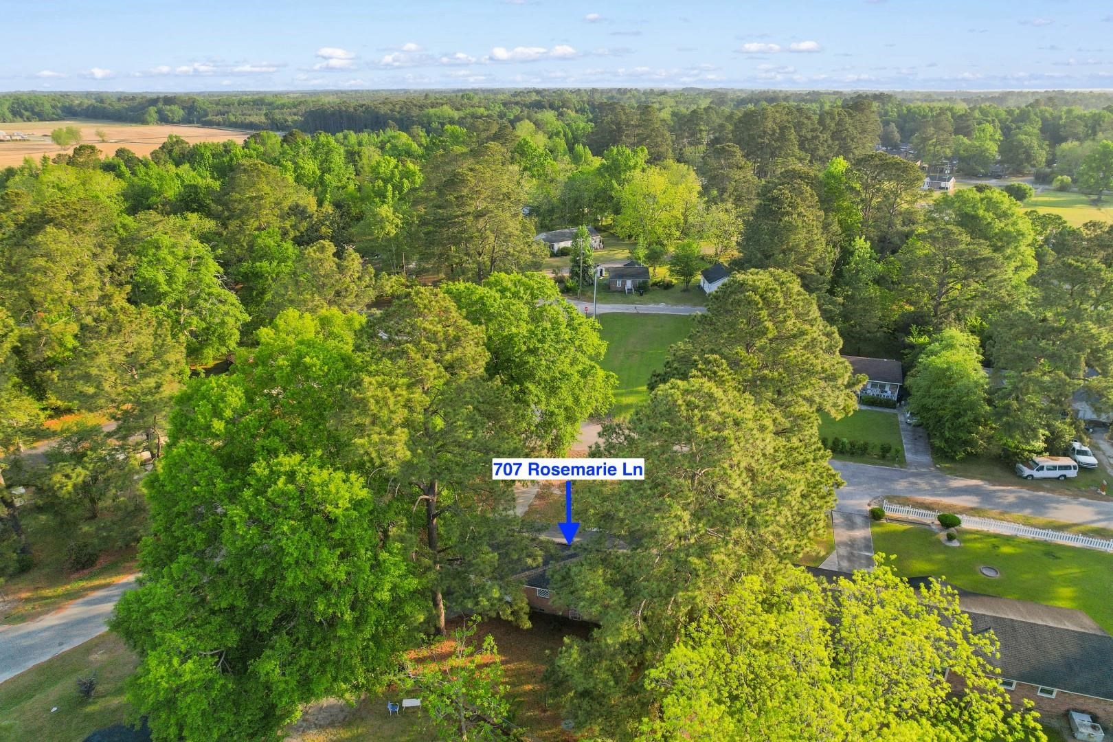 707 Rosemarie Lane Mullins, SC 29574 - Photo 33 of 39