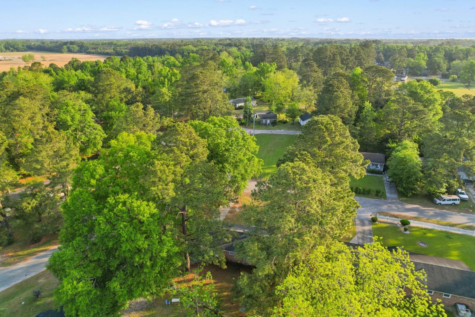 707 Rosemarie Lane Mullins, SC 29574 - Photo 34 of 39