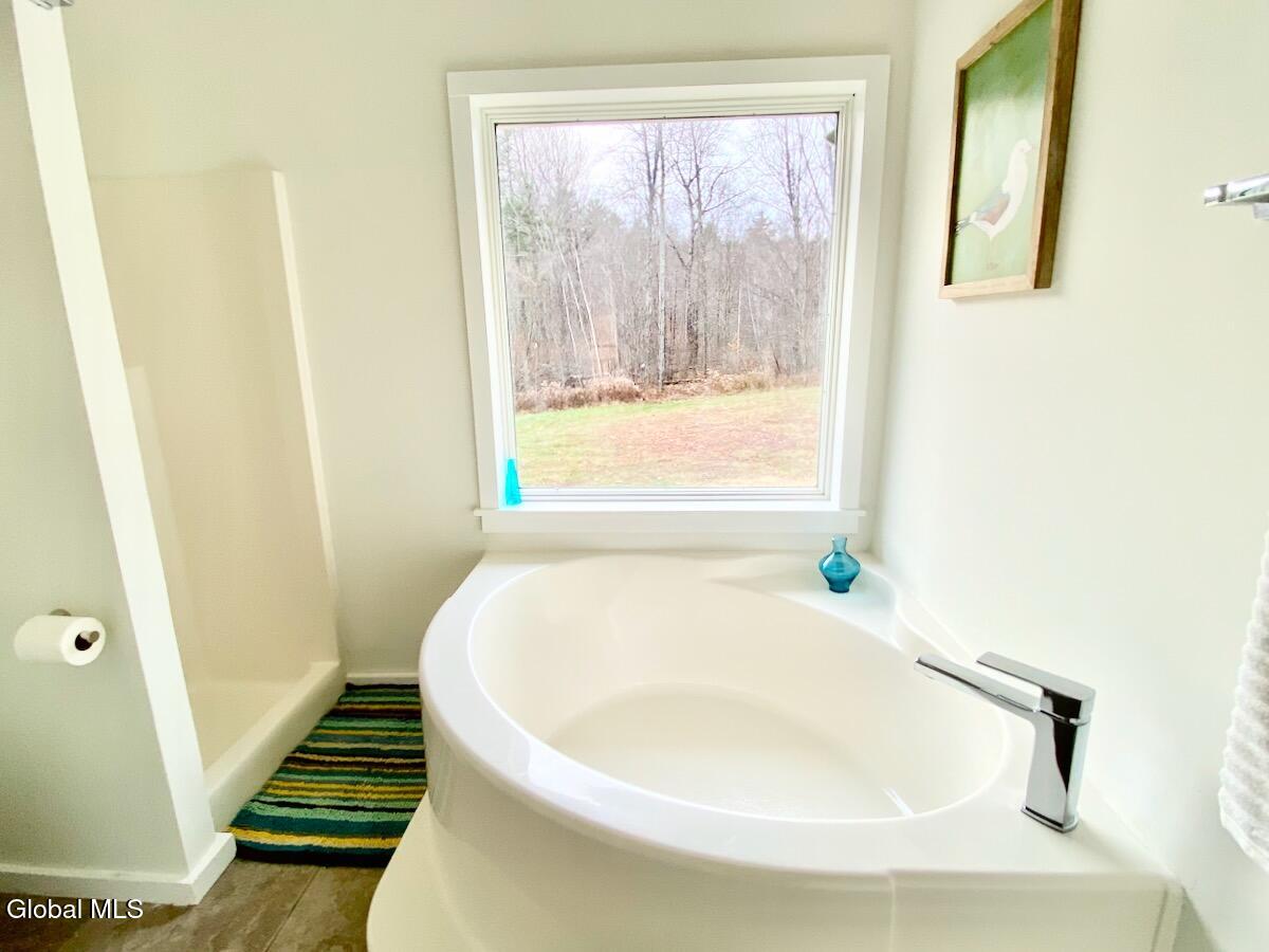 365 Moore Hill Road Stephentown, NY 12168 - Photo 27 of 50 IMG_5818