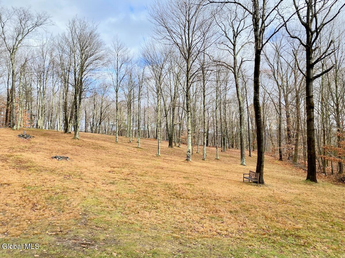 365 Moore Hill Road Stephentown, NY 12168 - Photo 43 of 50 IMG_6062