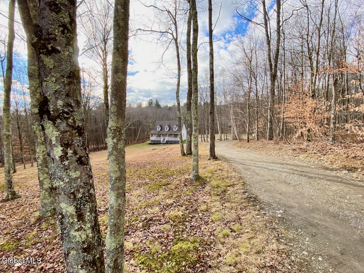 365 Moore Hill Road Stephentown, NY 12168 - Photo 44 of 50 IMG_6441