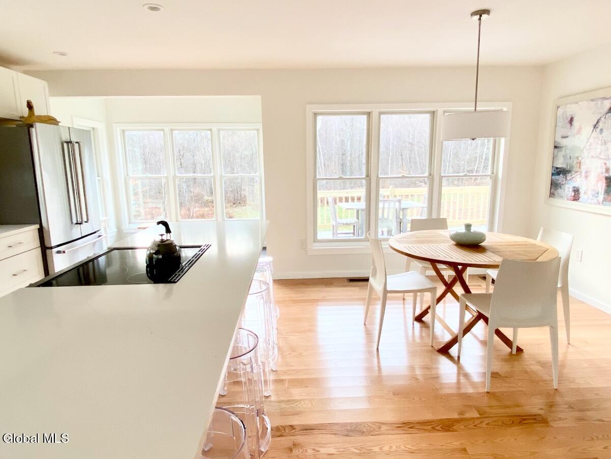 365 Moore Hill Road Stephentown, NY 12168 - Photo 10 of 50 IMG_5793