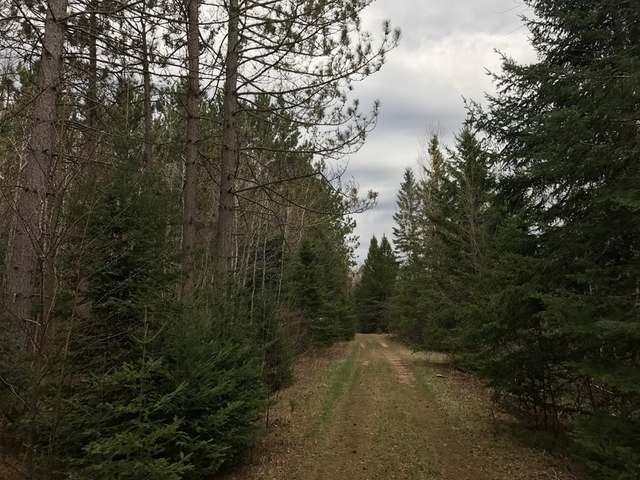 800-ac Boot Jack Lk Road Tripoli, WI 54564 - Photo 2 of 20 Gallery Image 2