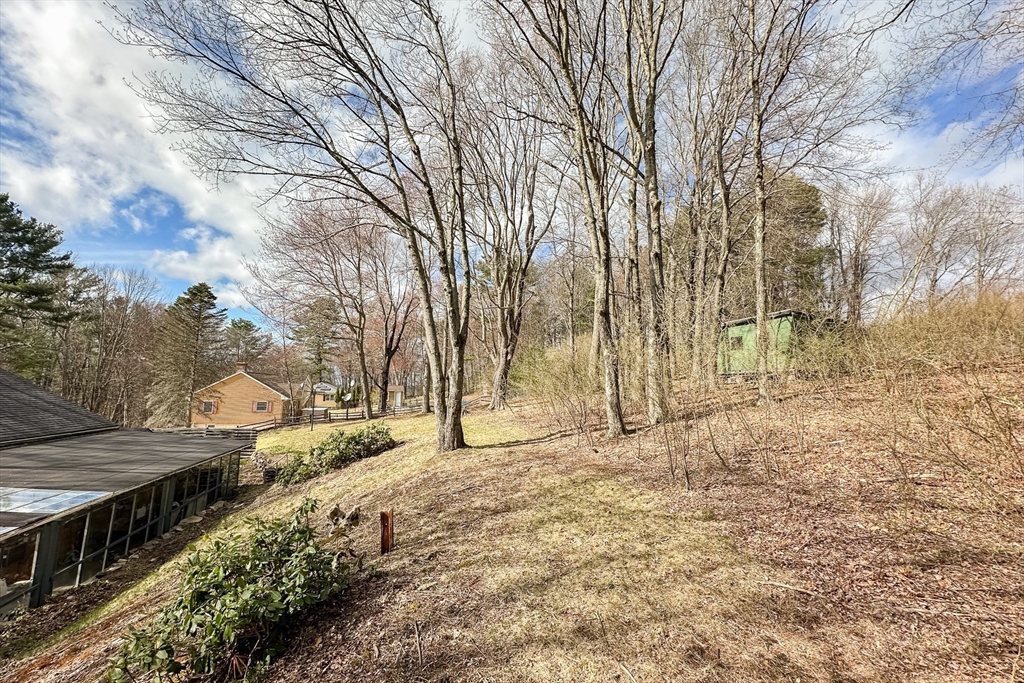 10 Chris Road Oxford, MA 01540 - Photo 40 of 42 a view of a yard with trees