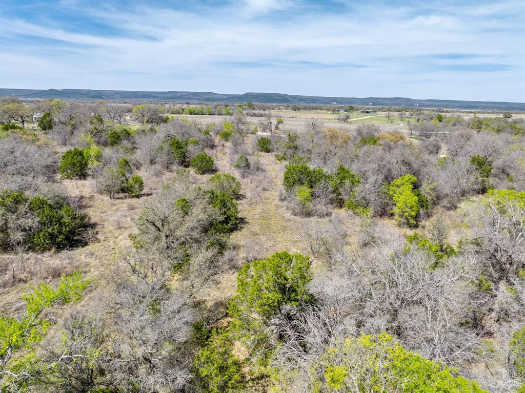 Lot 11 New Hope Road Palo Pinto, TX 76484 - Photo 9 of 17 a view of a field with an ocean
