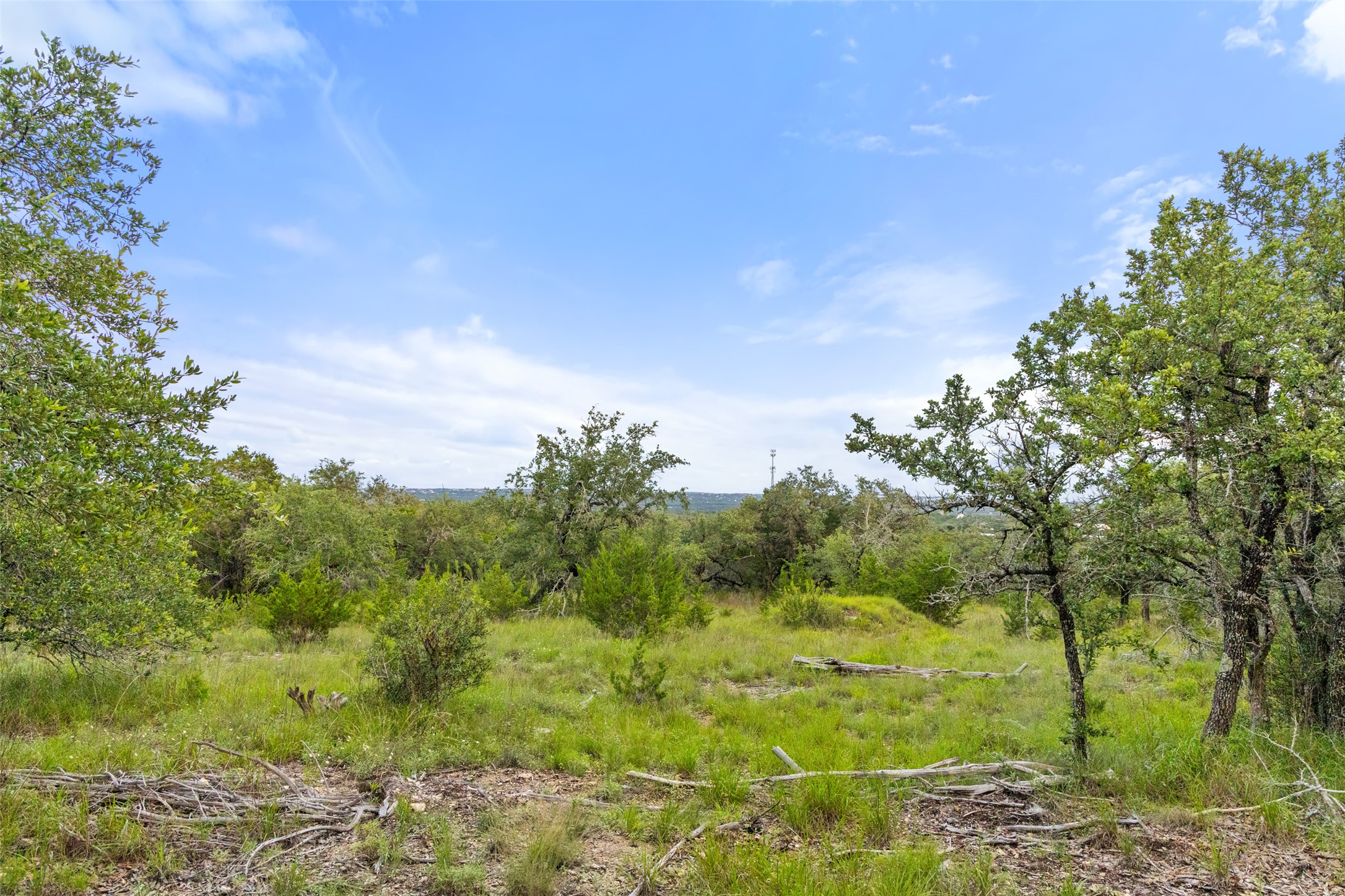 31860 Mirela Ann Road Dripping Springs, TX 78620 - Photo 11 of 20