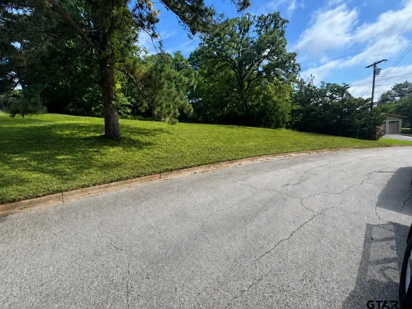 $30,000 | 0 Stephanie Drive, Palestine, TX 75803