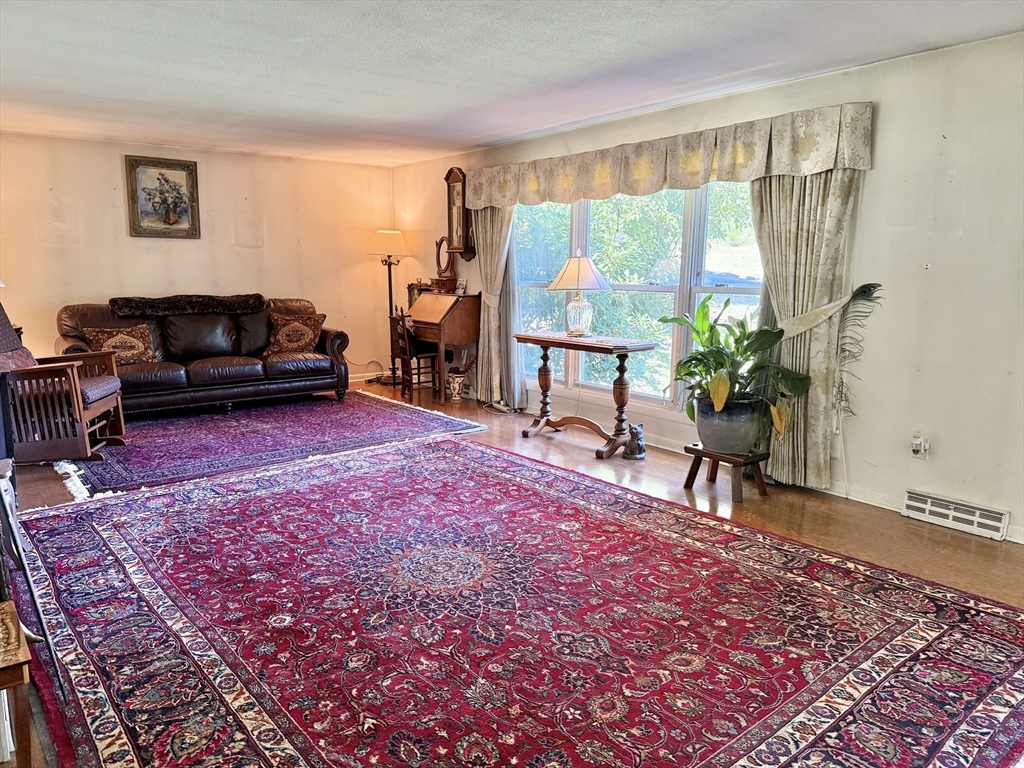16 Meadowview Road Holyoke, MA 01040 - Photo 4 of 22 a living room with furniture a rug and a potted plant