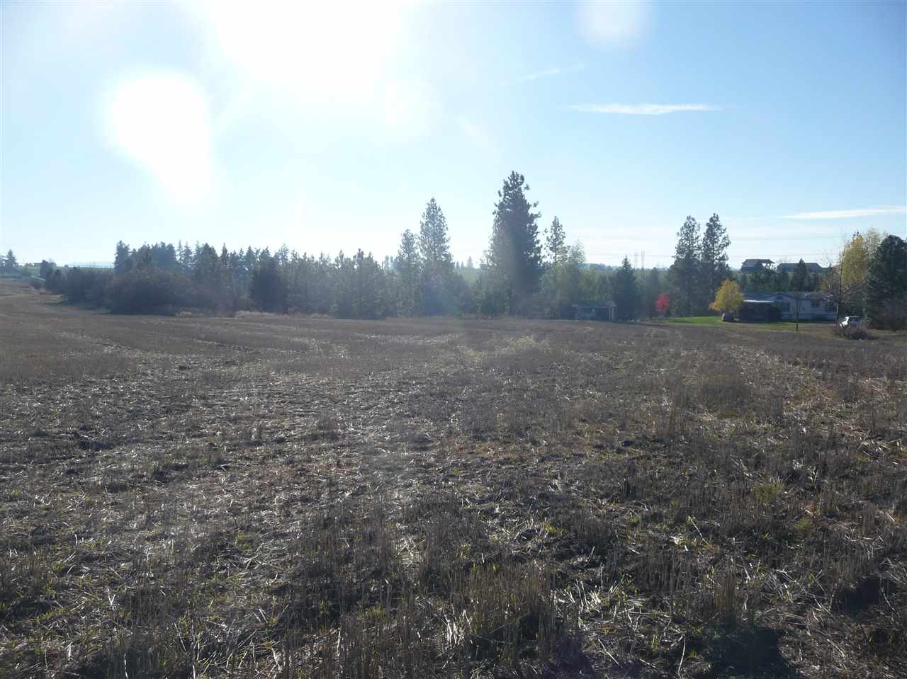 9011 North Lehman Road Spokane, WA 99217 - Photo 14 of 20 Gallery Image 14
