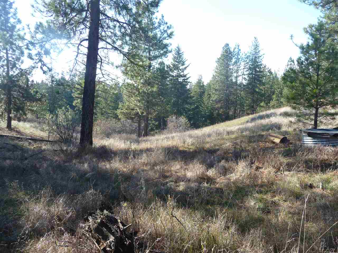 9011 North Lehman Road Spokane, WA 99217 - Photo 16 of 20 Gallery Image 16