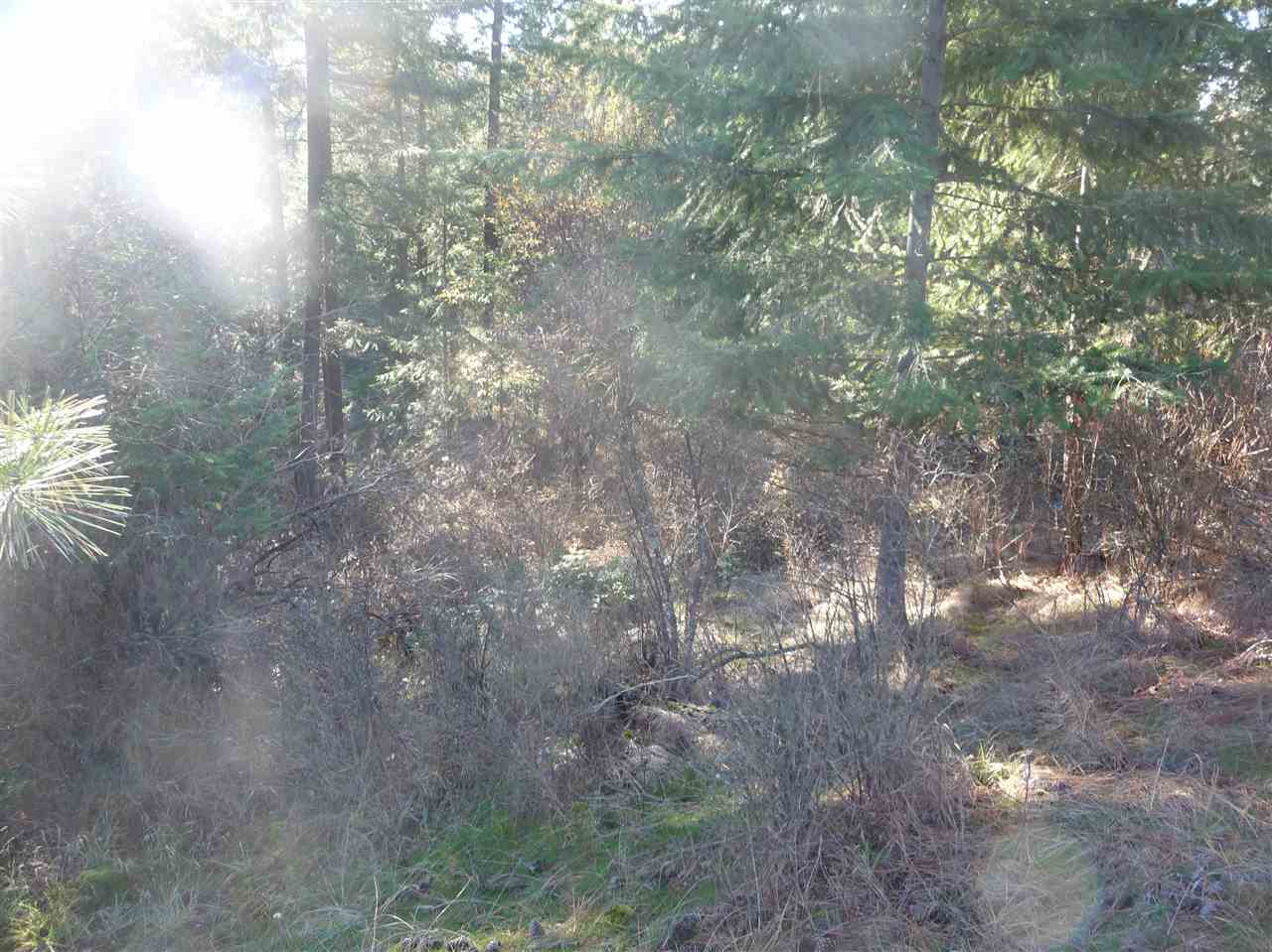 9011 North Lehman Road Spokane, WA 99217 - Photo 17 of 20 Gallery Image 17