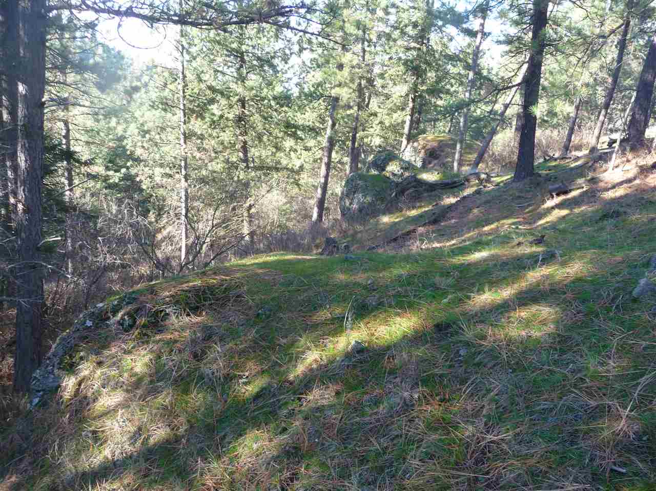 9011 North Lehman Road Spokane, WA 99217 - Photo 18 of 20 Gallery Image 18