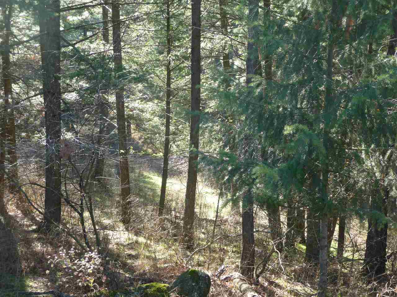 9011 North Lehman Road Spokane, WA 99217 - Photo 19 of 20 Gallery Image 19