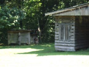 151 Howard Chandler Road Erwin, TN 37650 - Photo 3 of 4 Photo 3