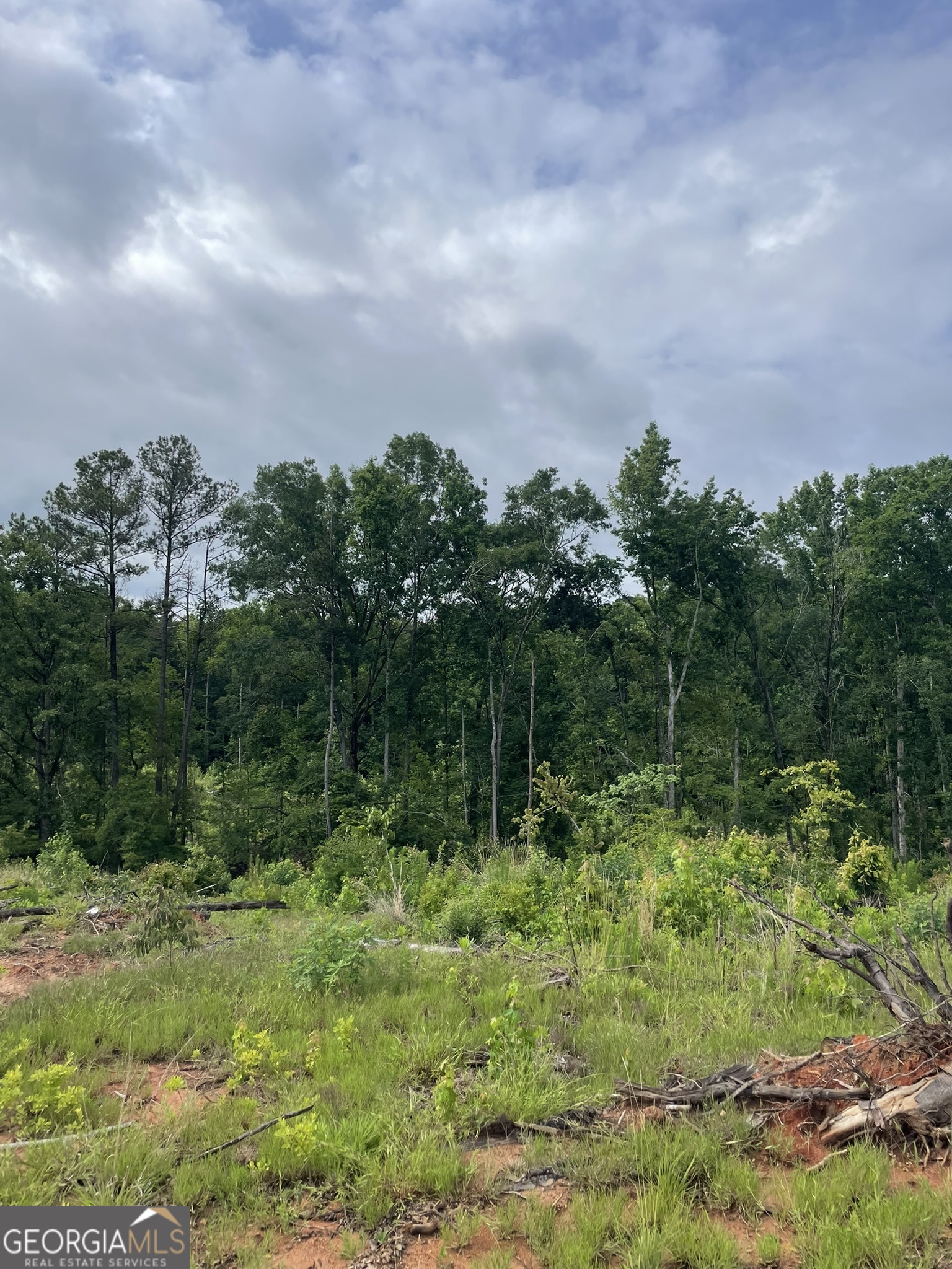0 Po Biddy Road Thomaston, GA 30286 - Photo 13 of 15