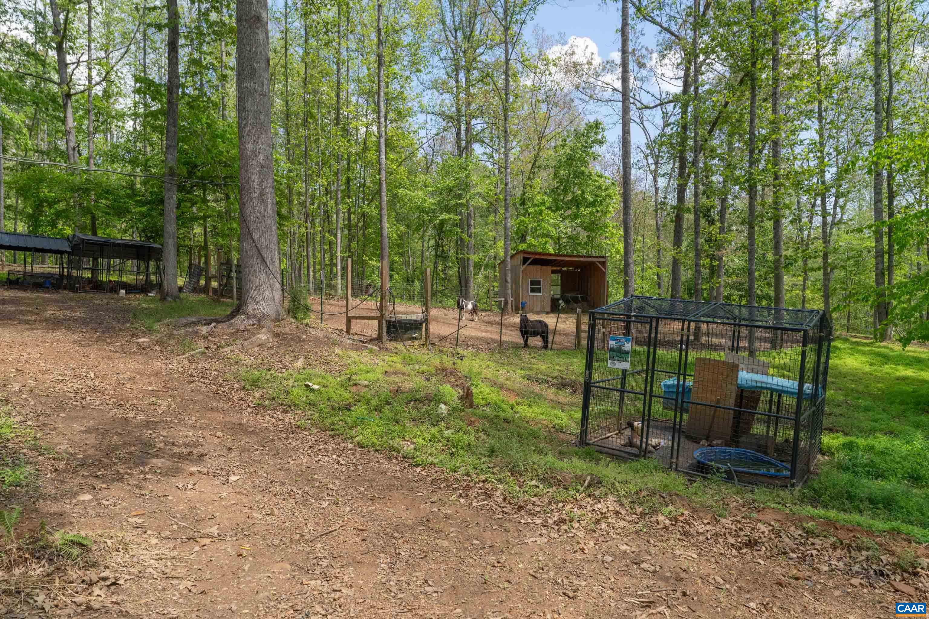 2441 Tisdale Road Barboursville, VA 22923 - Photo 4 of 44 run in shed animal lover escape