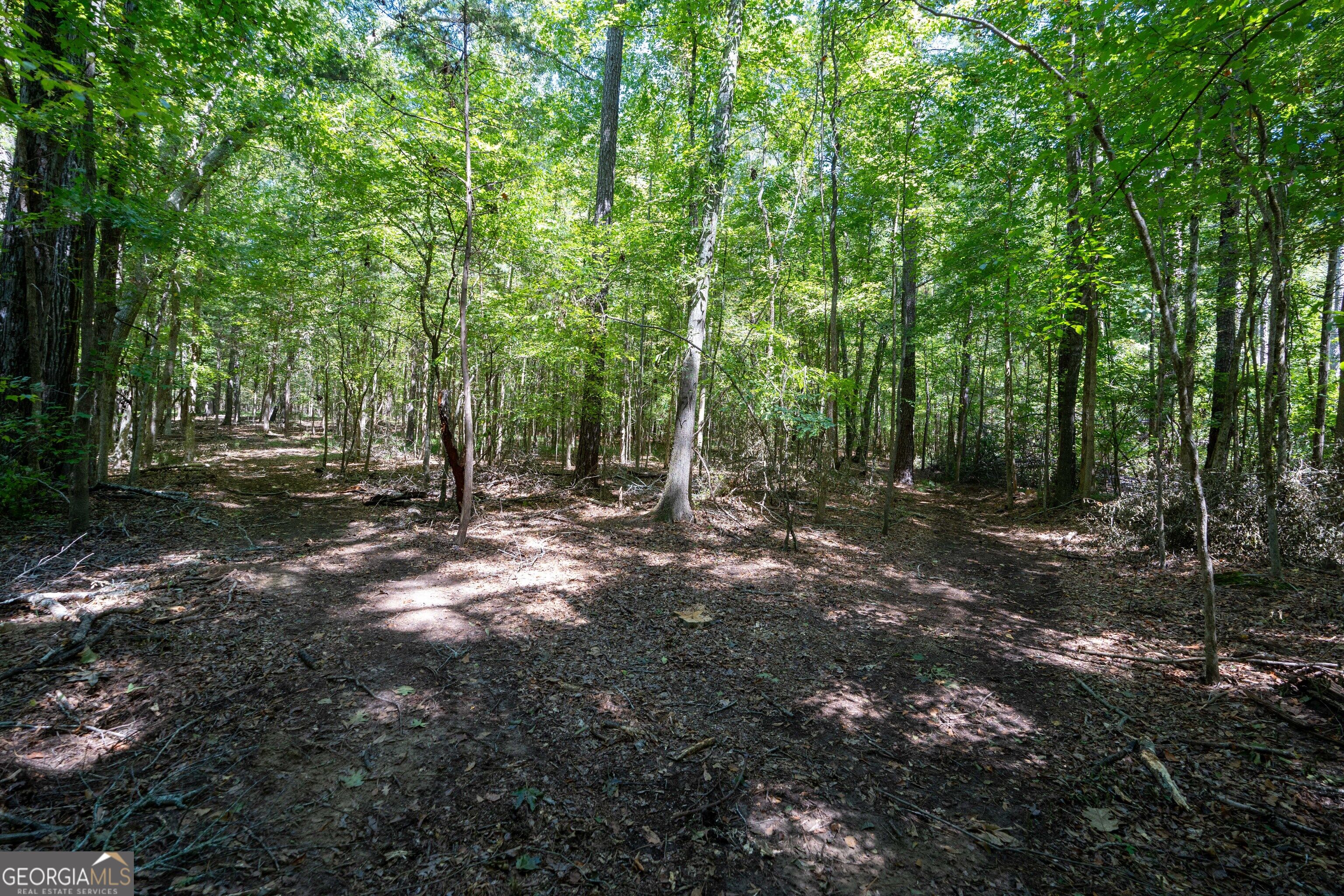 1419 Bobby Brown State Park Road Elberton, GA 30635 - Photo 55 of 90 Gallery Image 55
