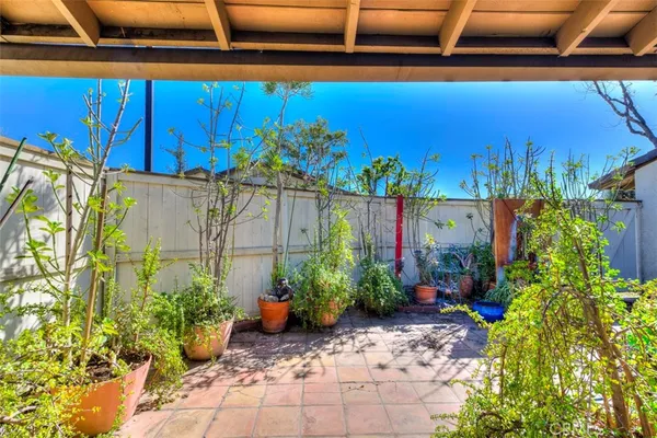 a view of a backyard with plants