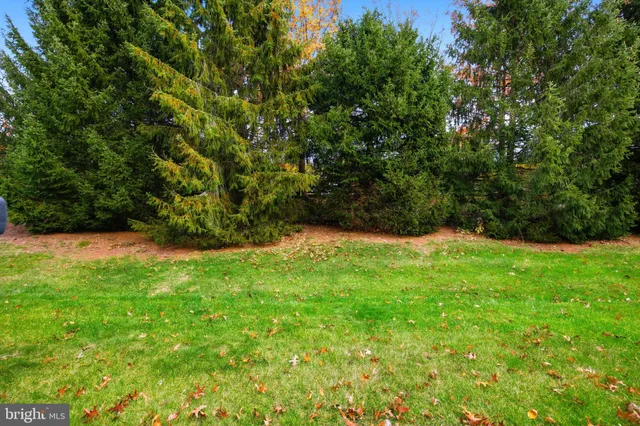 a view of backyard with green space