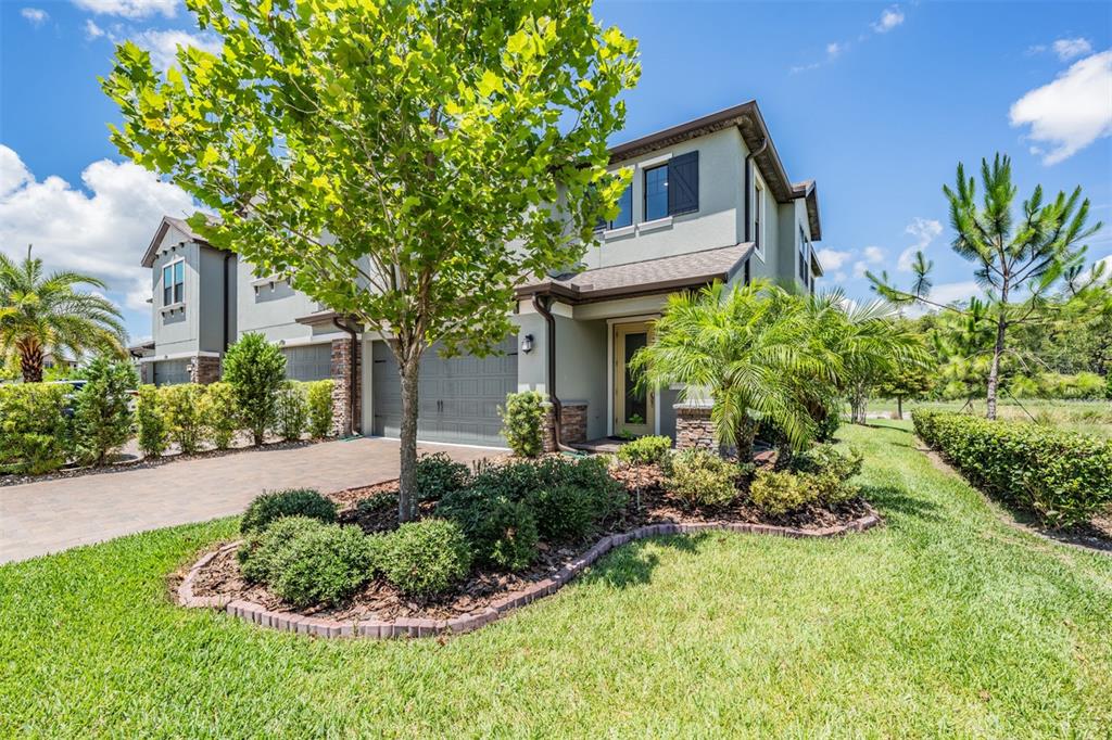 4849 Isola Court Wesley Chapel, FL 33543 - Photo 2 of 33