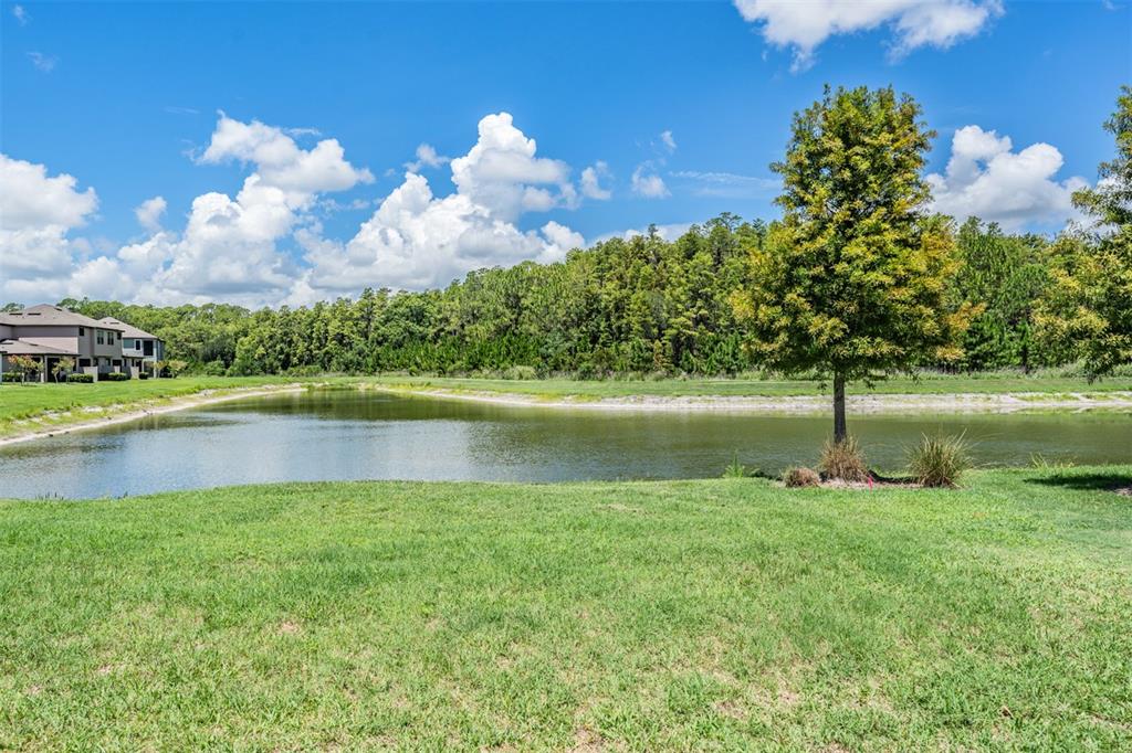 4849 Isola Court Wesley Chapel, FL 33543 - Photo 25 of 33