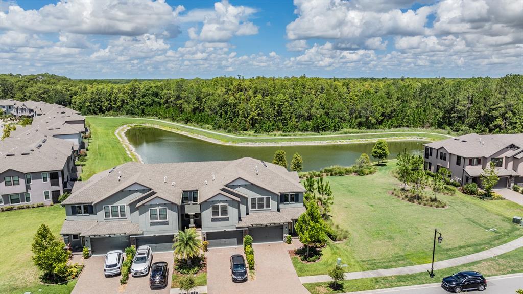 4849 Isola Court Wesley Chapel, FL 33543 - Photo 3 of 33