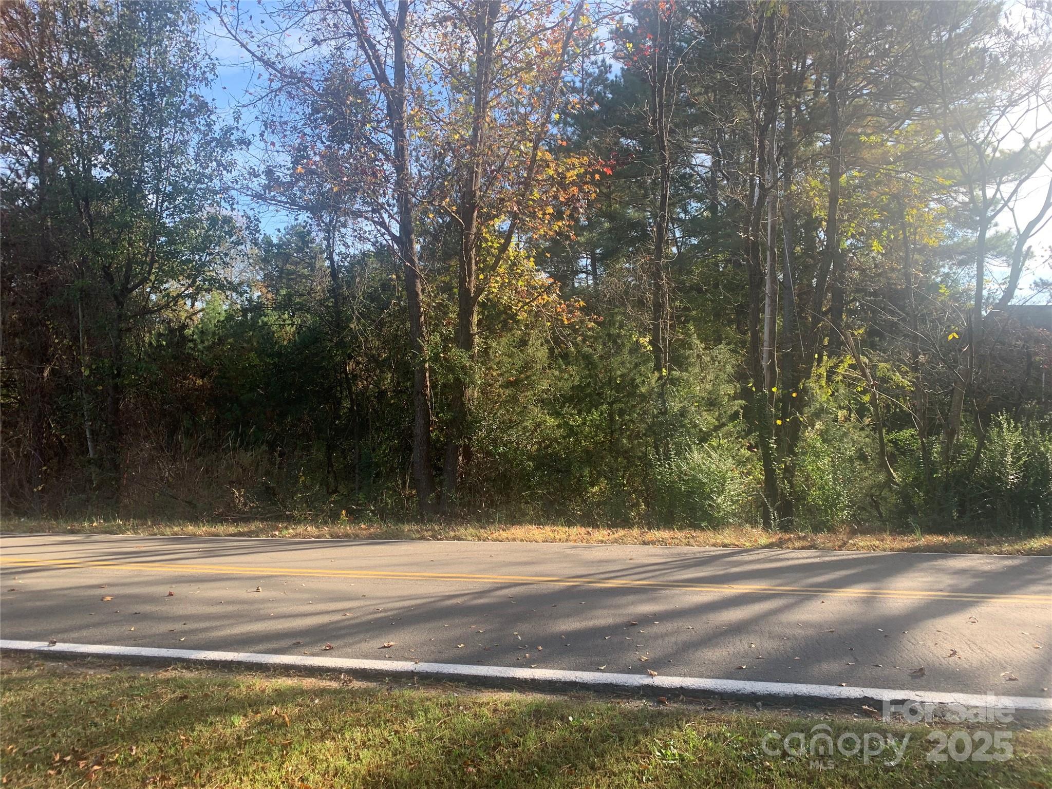 1 Mayberry Road Dallas, NC 28034 - Photo 3 of 6