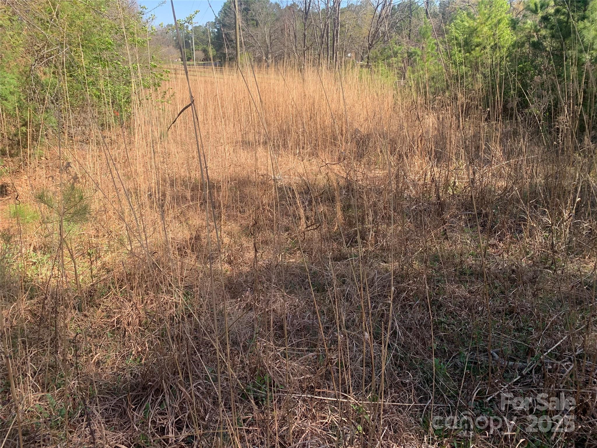 1 Mayberry Road Dallas, NC 28034 - Photo 5 of 6