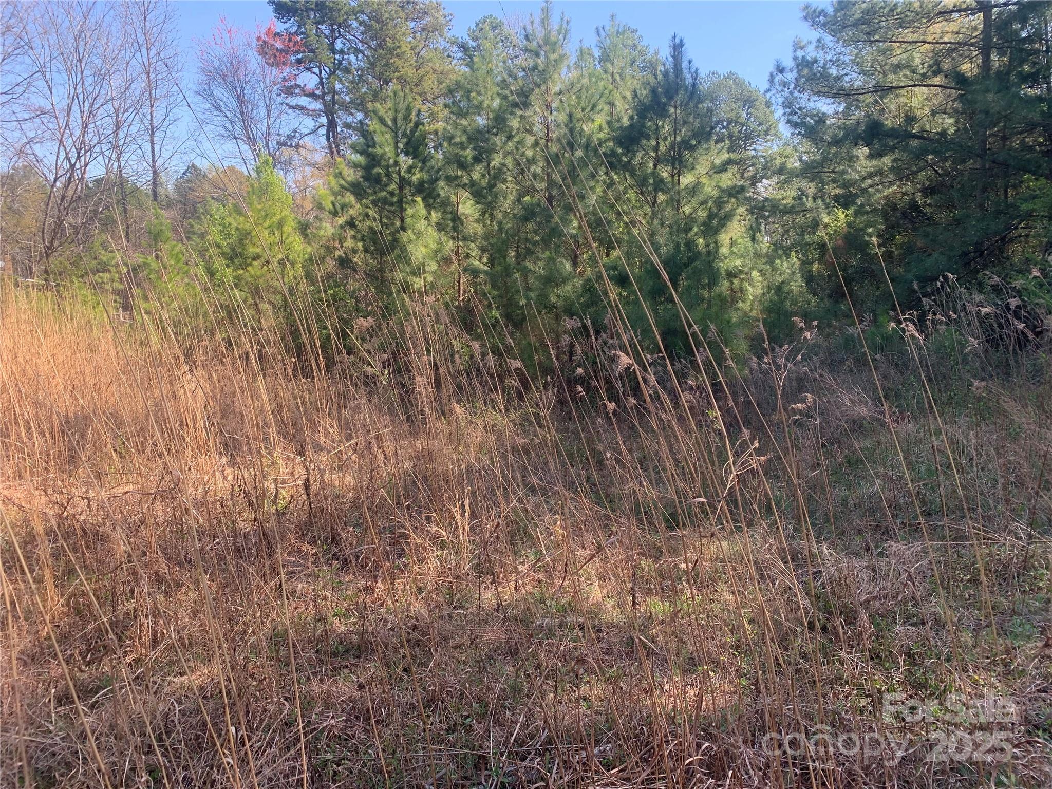 1 Mayberry Road Dallas, NC 28034 - Photo 6 of 6