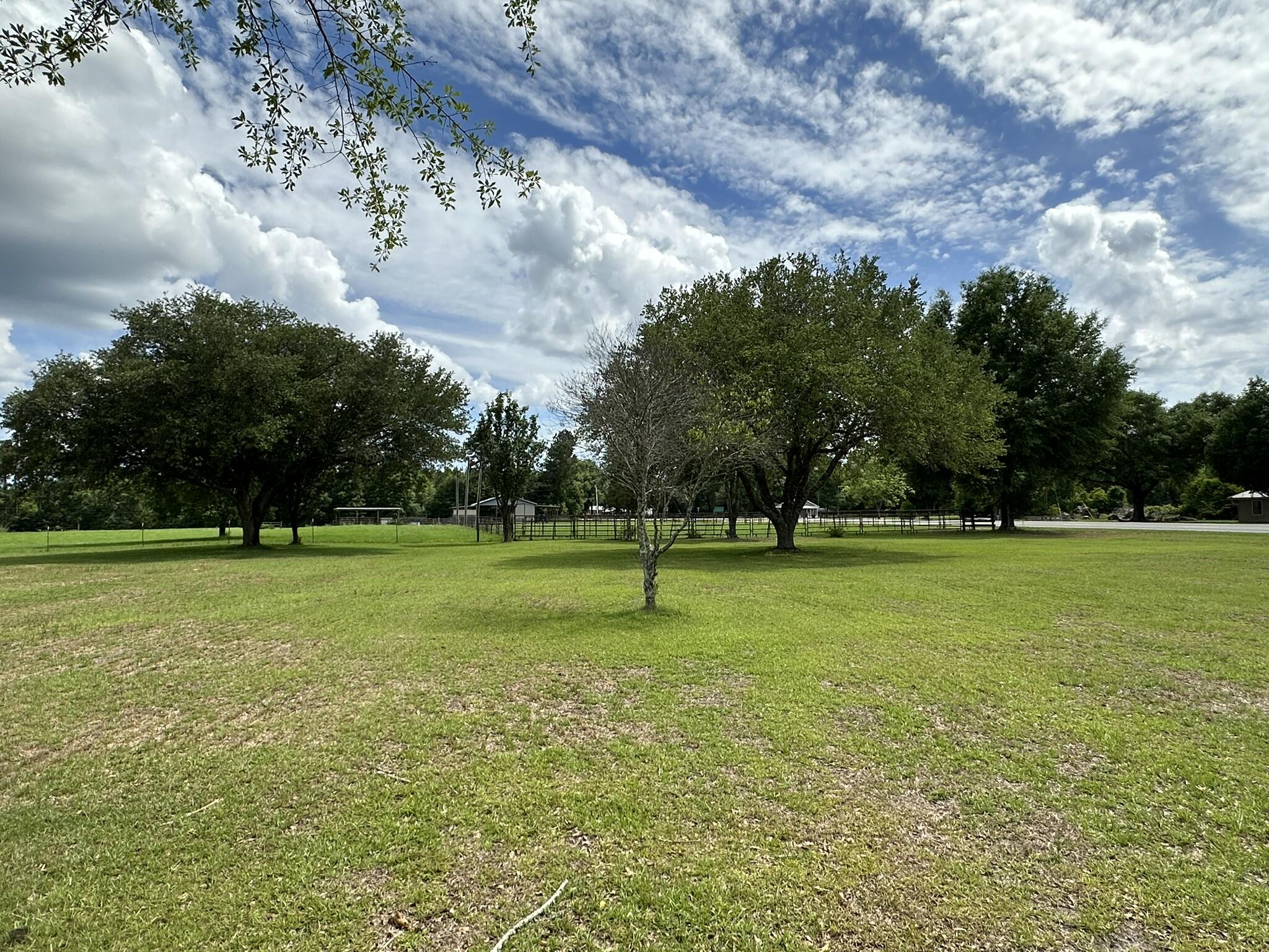 420 A Gomillion Road Florala, AL 36442 - Photo 11 of 23 IMG_9969