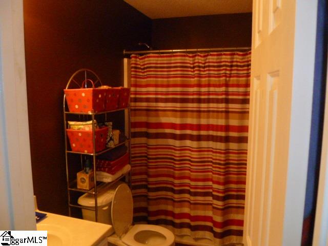 203 Manitou Way Fountain Inn, SC 29644 - Photo 7 of 21 Gallery Image 7