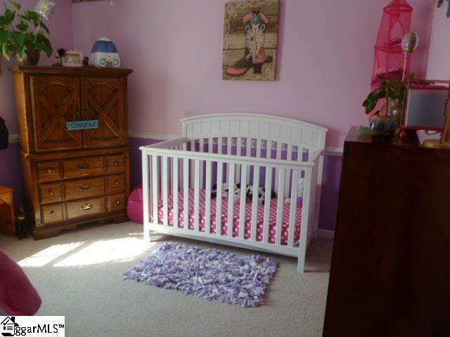 203 Manitou Way Fountain Inn, SC 29644 - Photo 8 of 21 Gallery Image 8