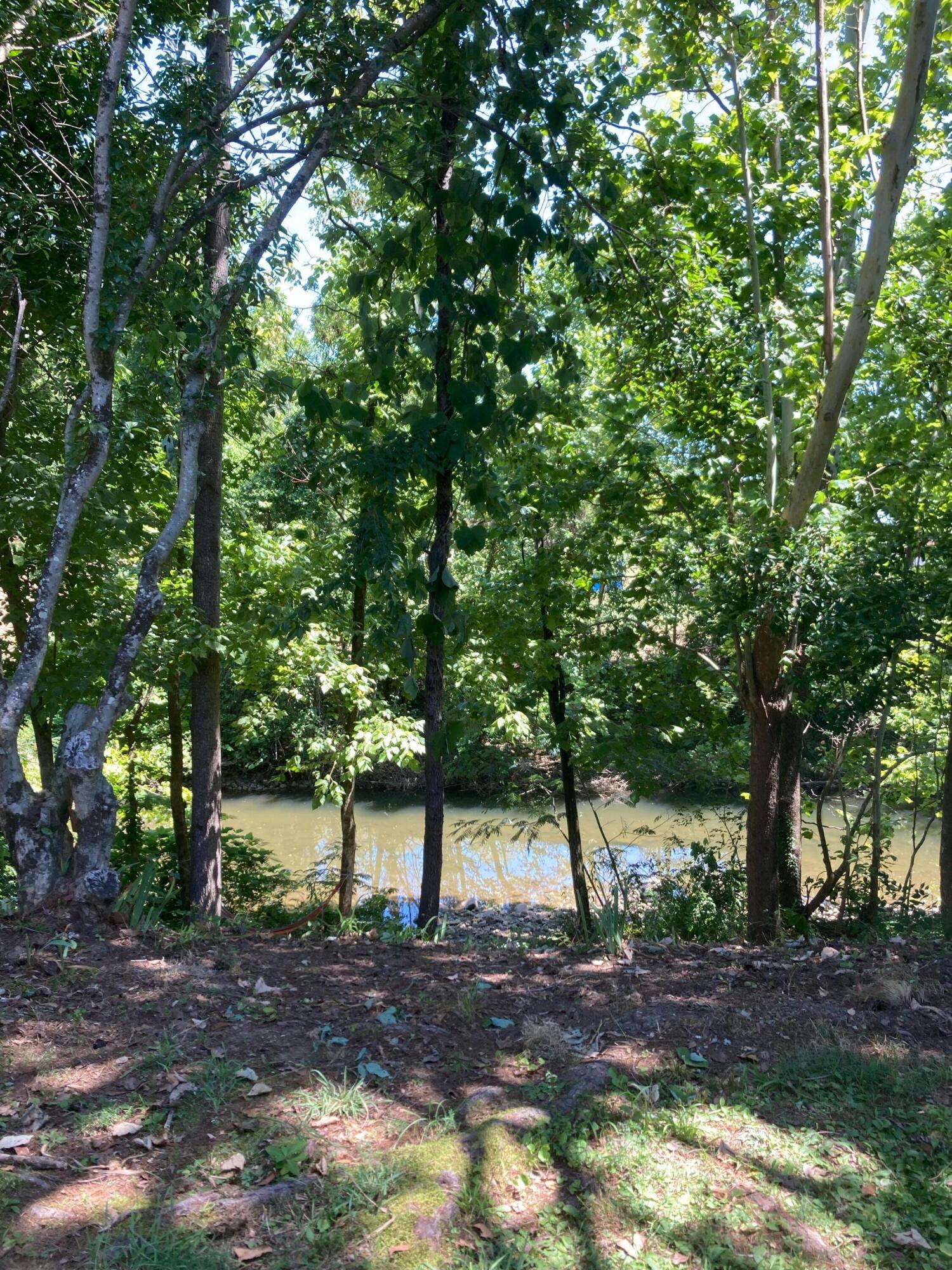 21926 River Canyon Road, Unit 205 Whitwell, TN 37397 - Photo 13 of 17 IMG_0374