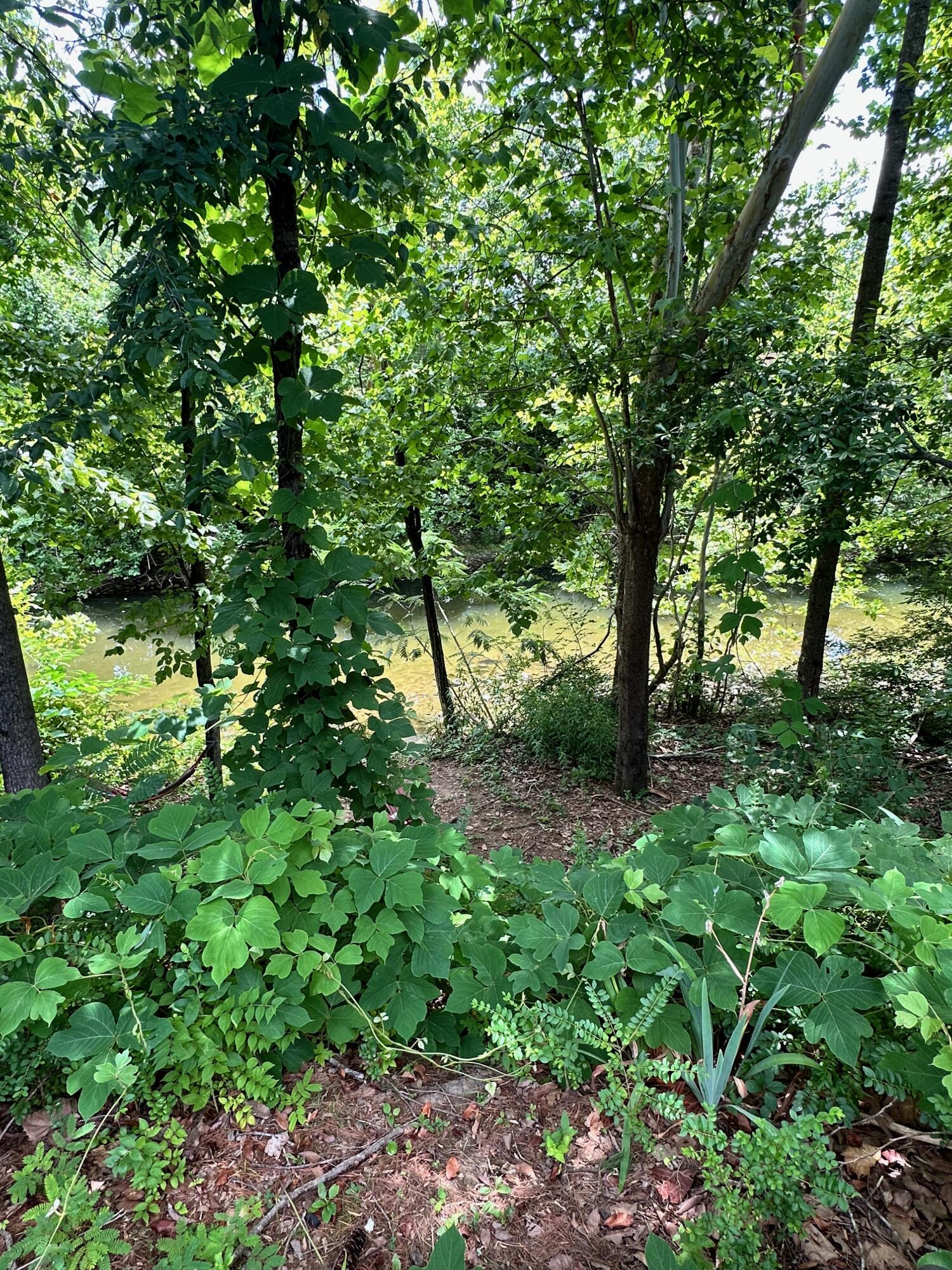 21926 River Canyon Road, Unit 205 Whitwell, TN 37397 - Photo 15 of 17 IMG_8155